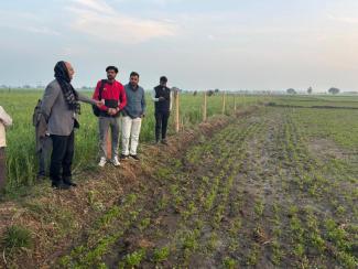 कलेक्टर साकेत मालवीय फसलों का निरीक्षण करते 